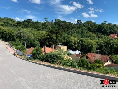 Terreno para Venda, em Nova Petrópolis, bairro Logradouro